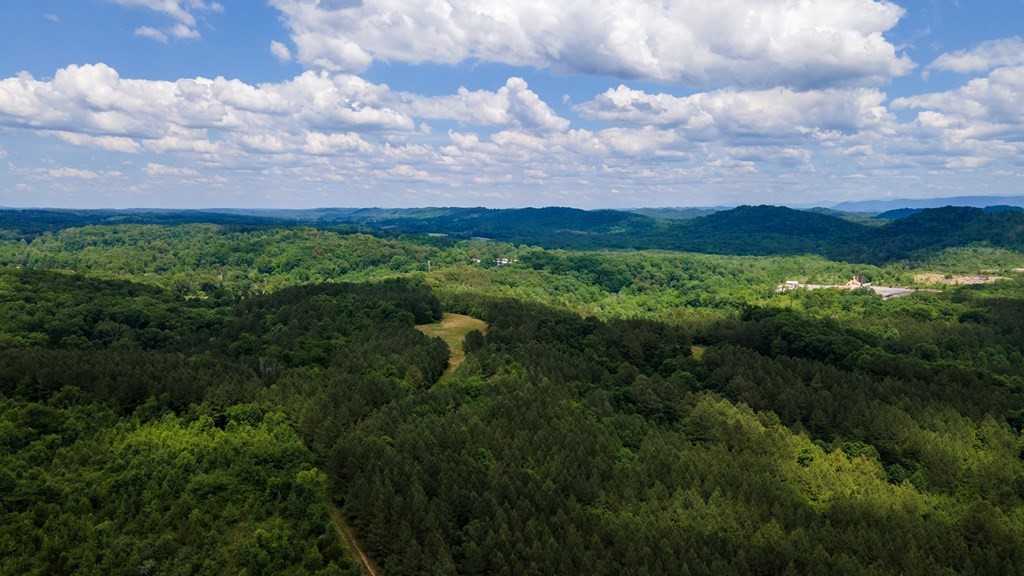 4 State Highway 163 Calhoun TN 37309