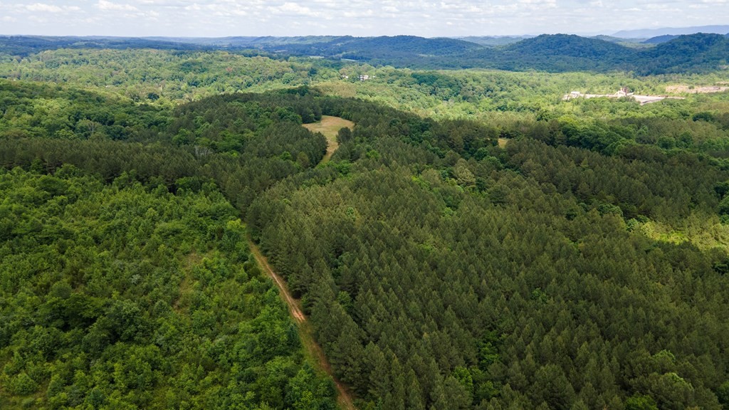 4 State Highway 163 Calhoun TN 37309