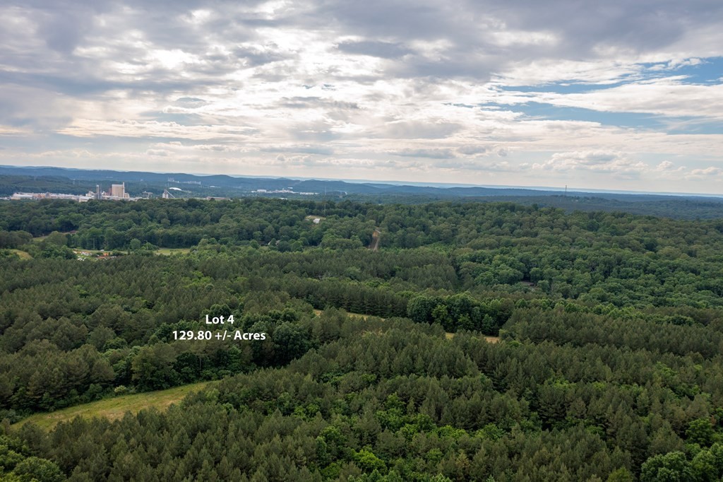 4 State Highway 163 Calhoun TN 37309