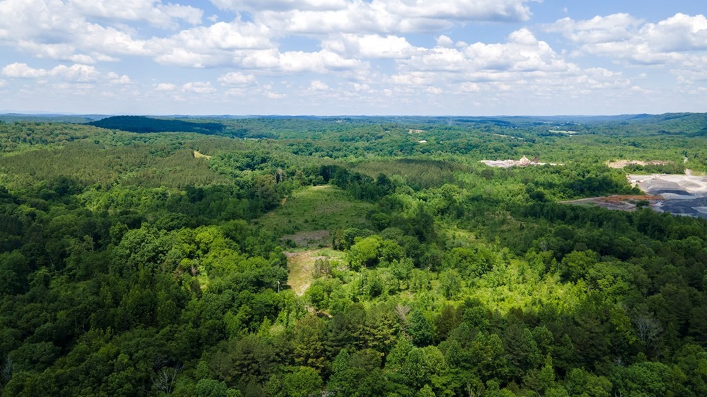 4 State Highway 163 Calhoun TN 37309