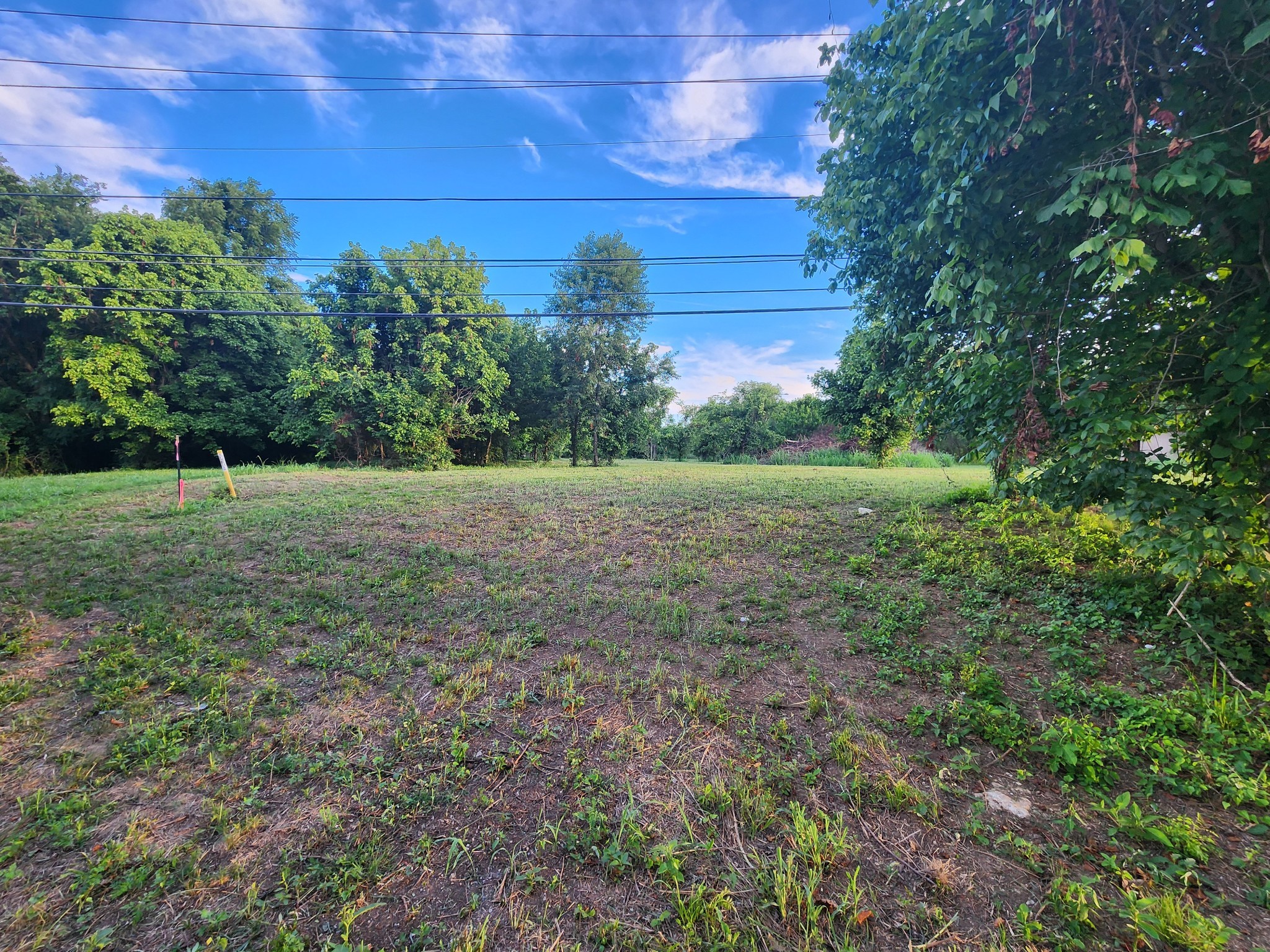 0 Almaville Road Smyrna TN 37167