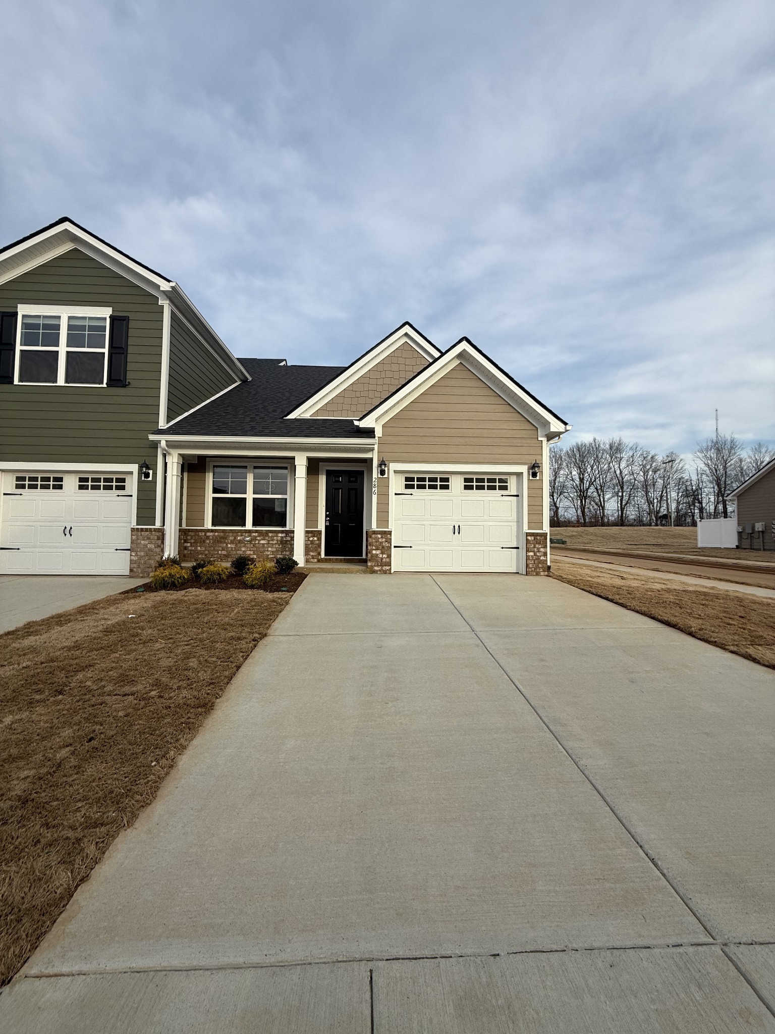 286 Selesia Lane Pleasant View TN 37146
