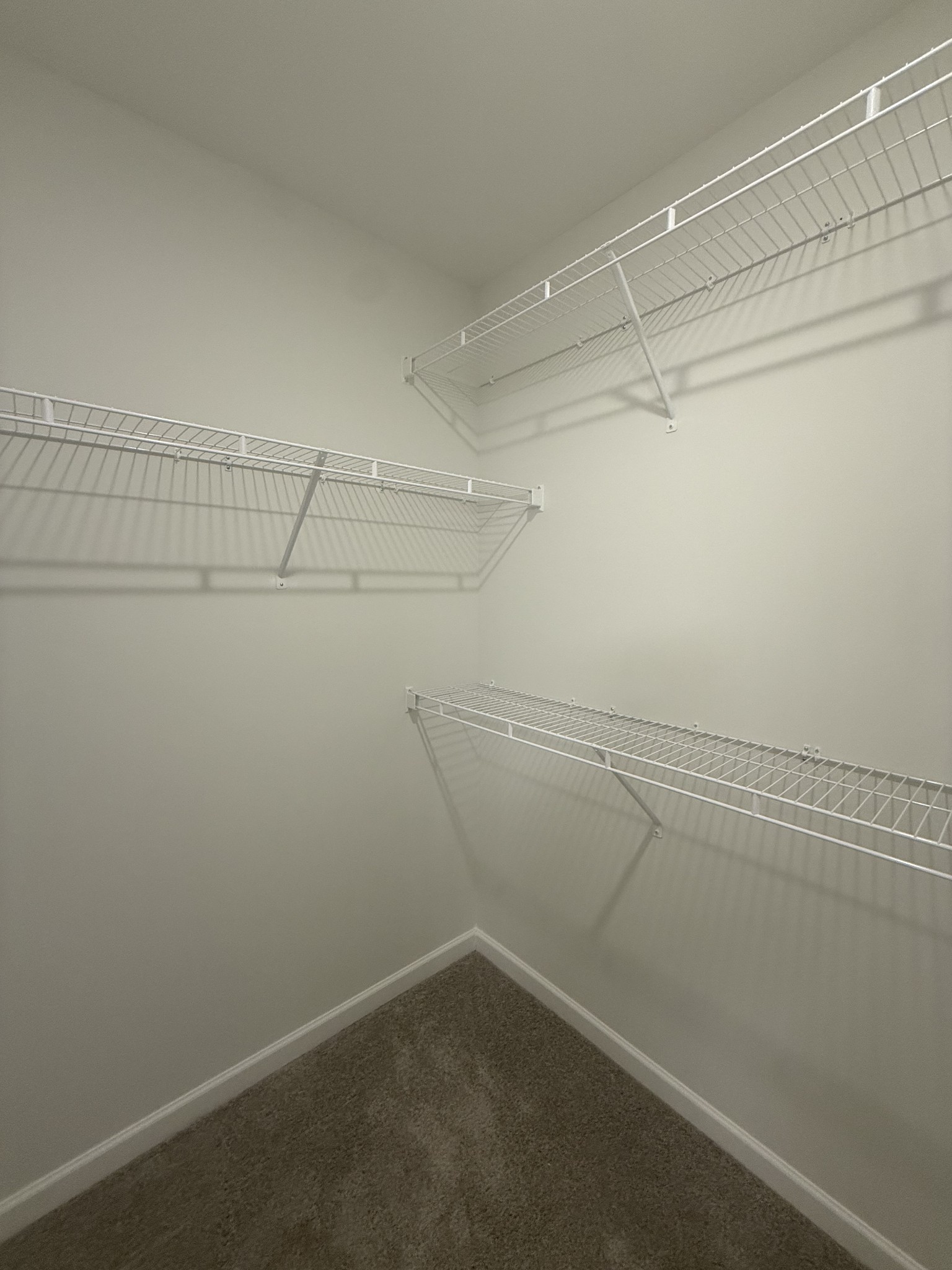 286 Selesia Lane Pleasant View TN 37146