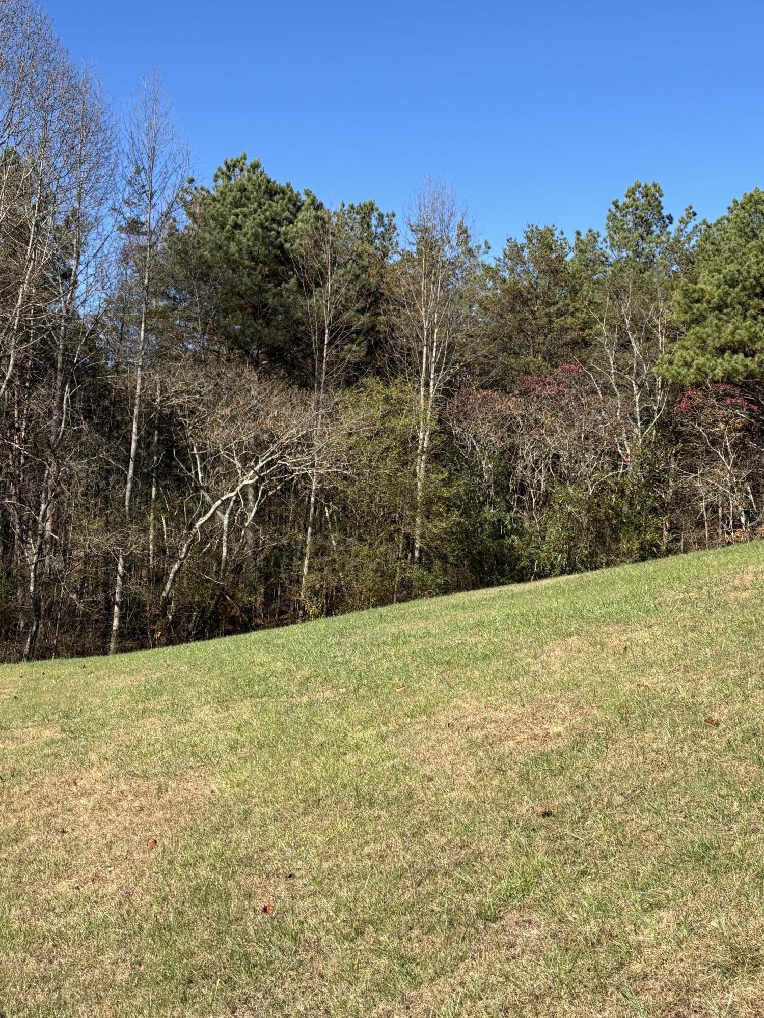 1868 Highway 68 Ducktown TN 37326