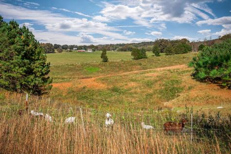 378 Bennett Road Sparta TN 38583