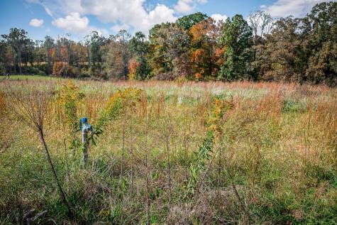 378 Bennett Road Sparta TN 38583