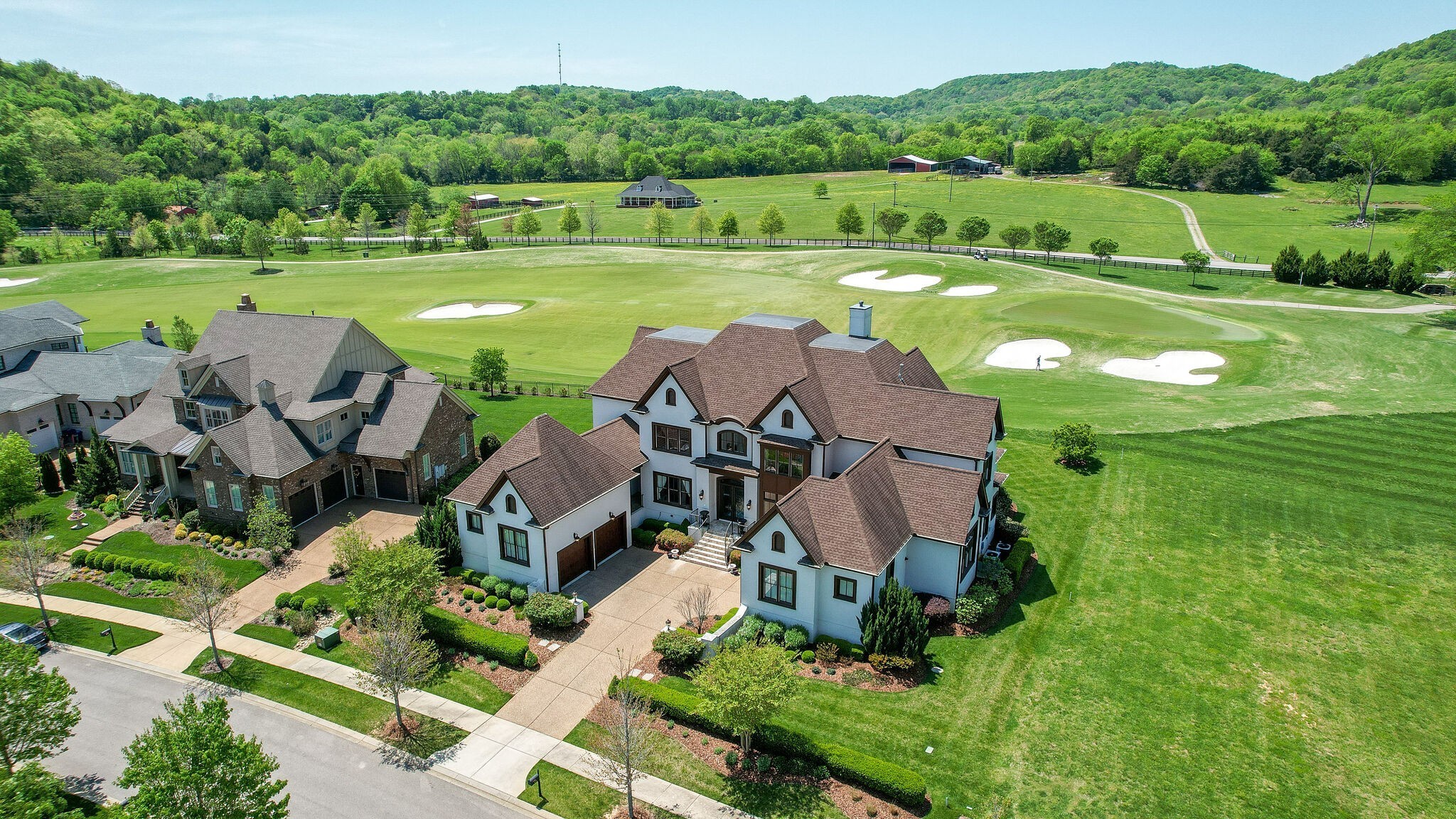 6294 Wild Heron Way College Grove TN 37046