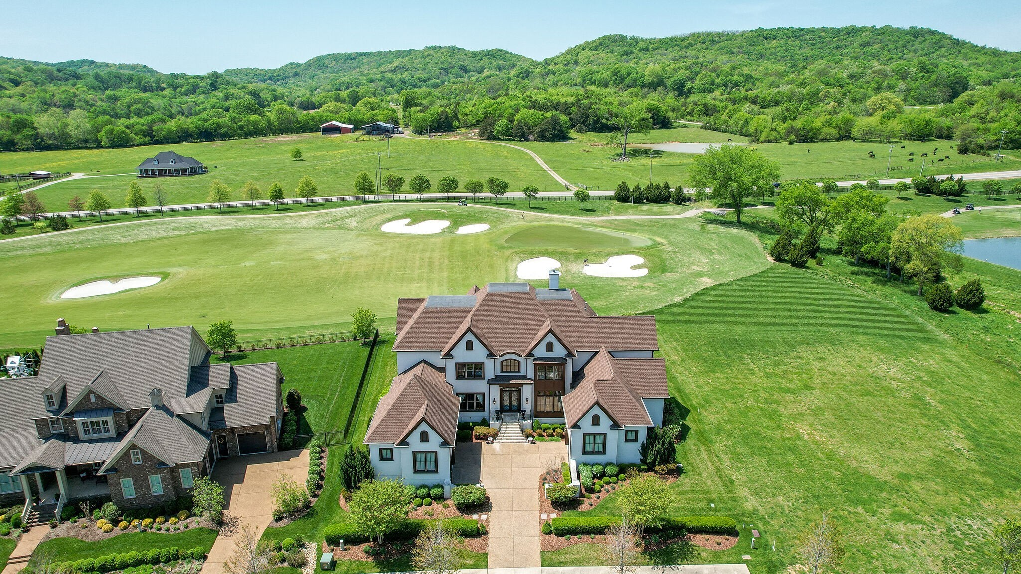 6294 Wild Heron Way College Grove TN 37046