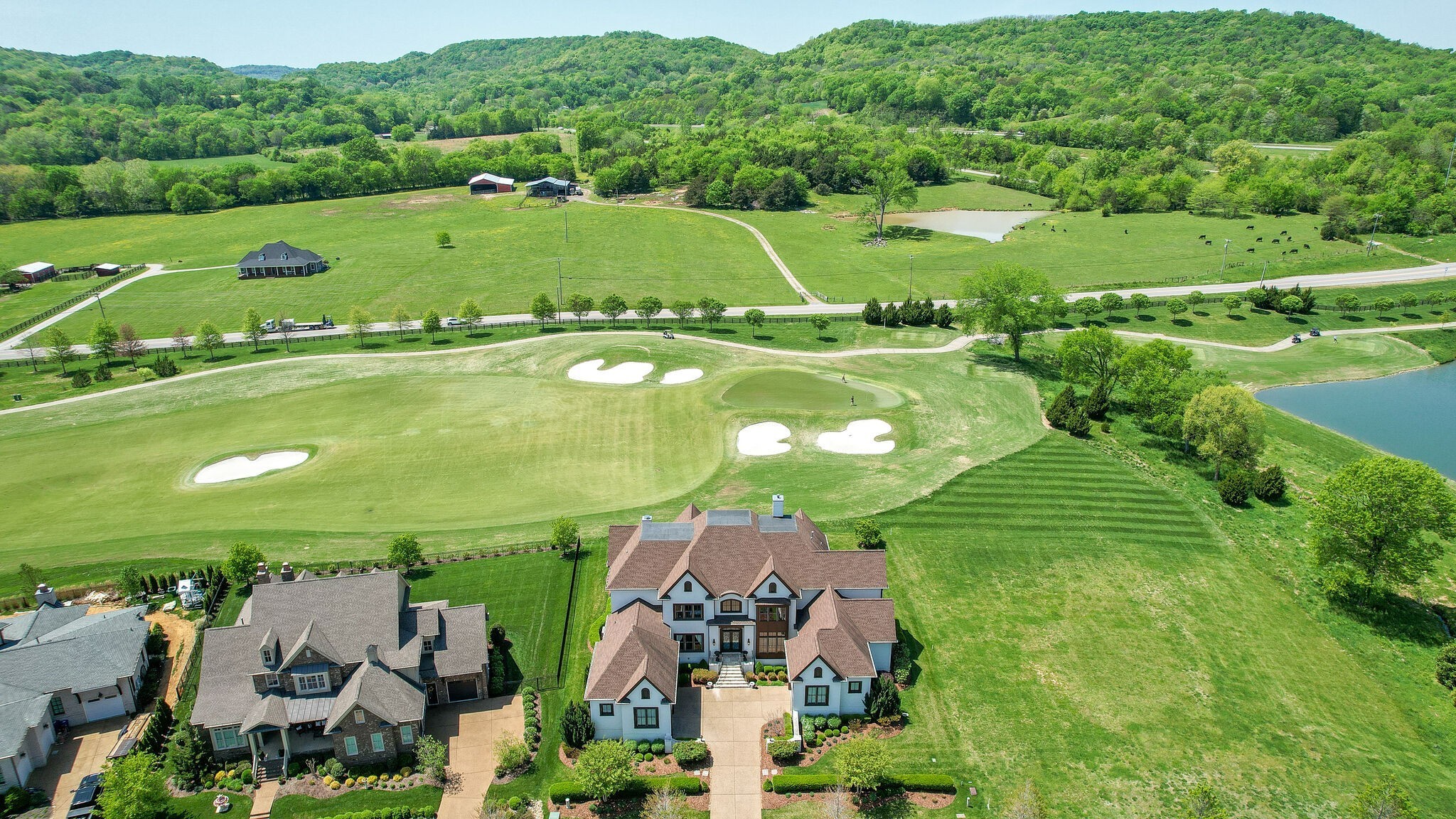 6294 Wild Heron Way College Grove TN 37046