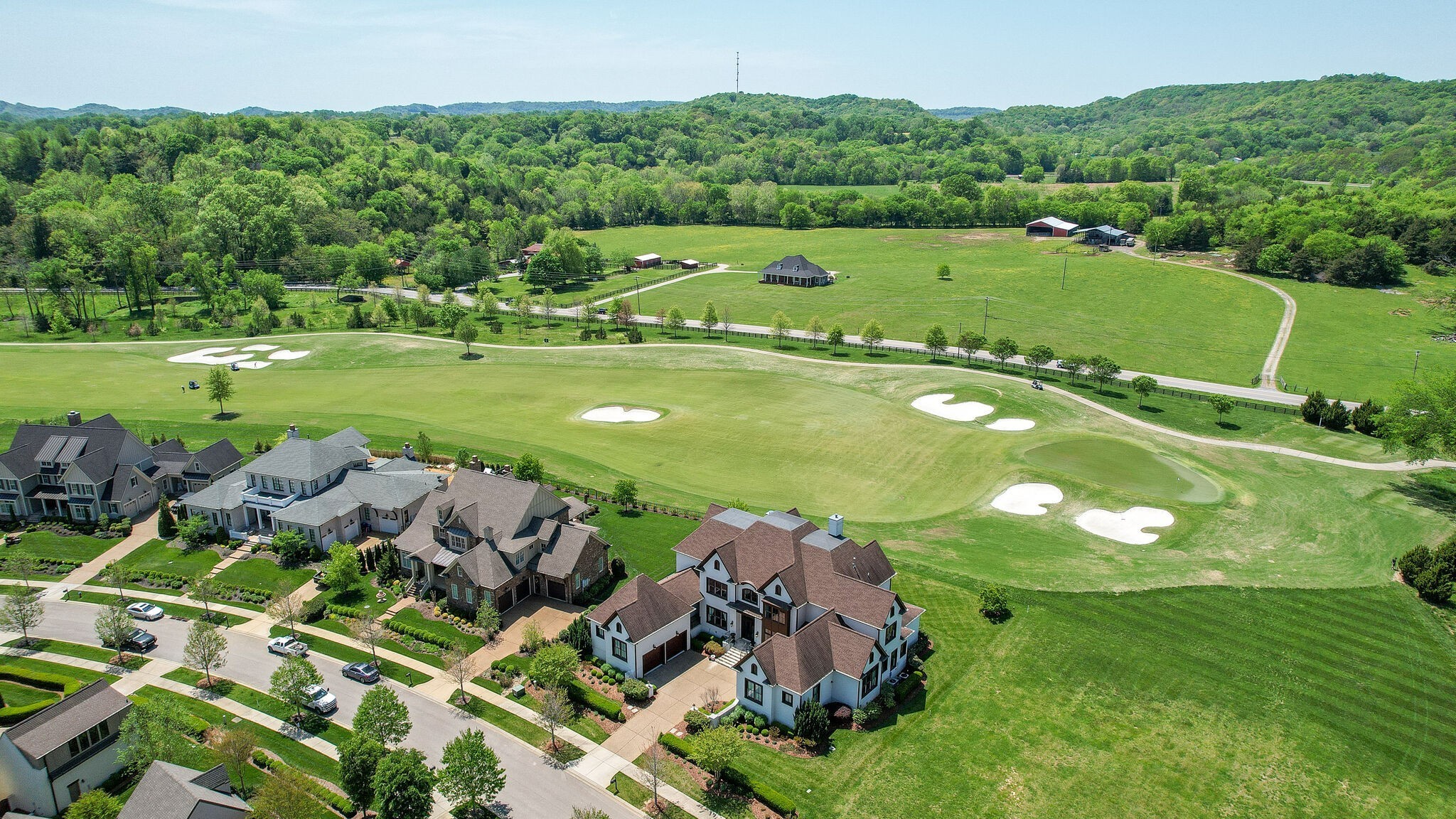 6294 Wild Heron Way College Grove TN 37046