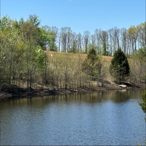 755 Music City Ranch Lane Sparta TN 38583