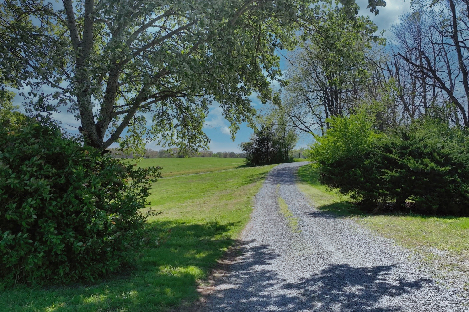 3083 Mooneyhan Road Springfield TN 37172