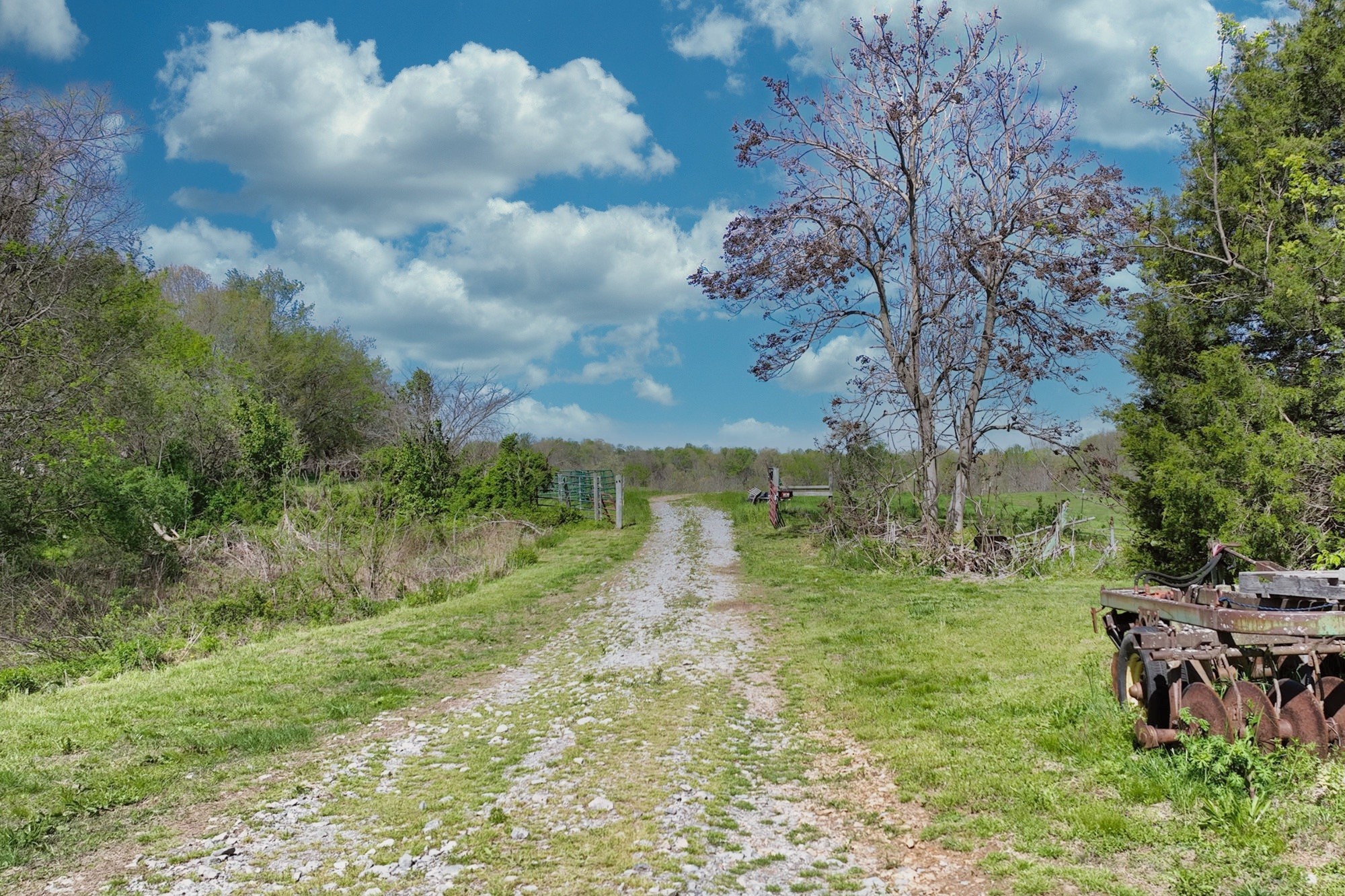 3083 Mooneyhan Road Springfield TN 37172