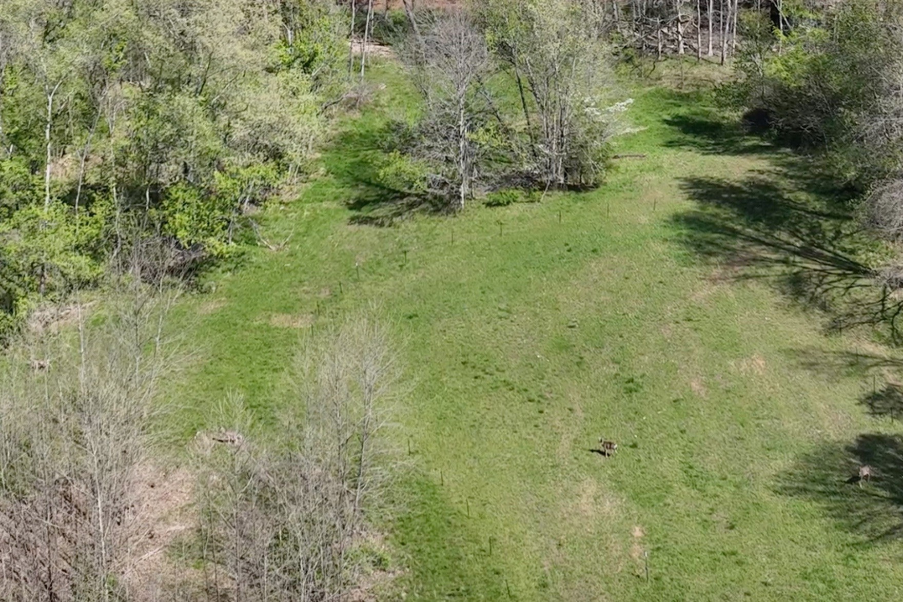 3083 Mooneyhan Road Springfield TN 37172