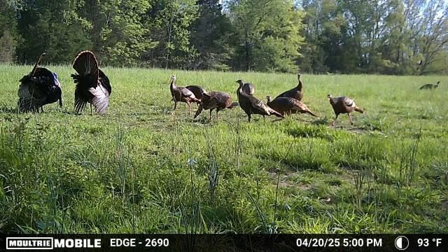 3083 Mooneyhan Road Springfield TN 37172