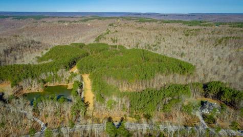 10147 S Pittsburg Mountain Road South Pittsburg TN 37380
