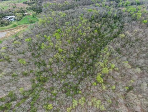 2071 Leeville Road Mount Juliet TN 37122