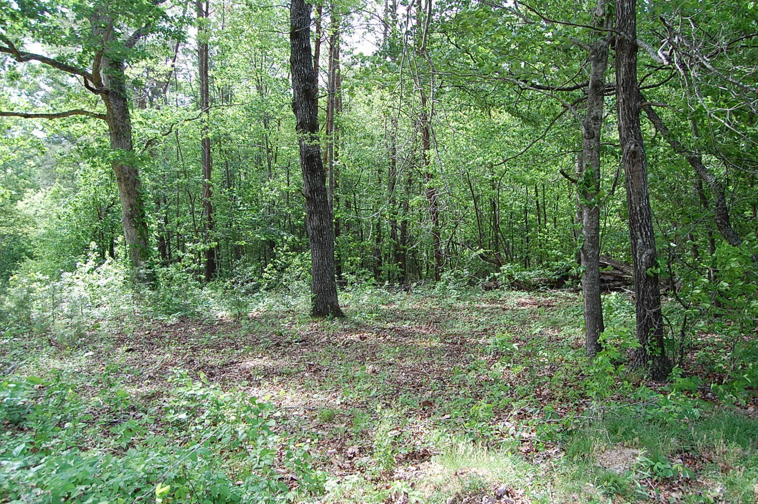 0 Carpenter Road Dunlap TN 37327