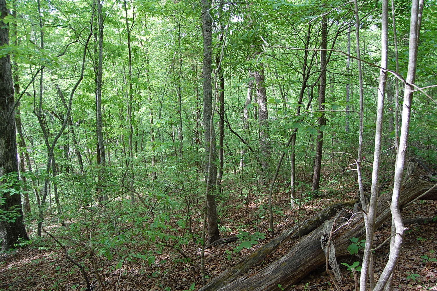 0 Carpenter Road Dunlap TN 37327