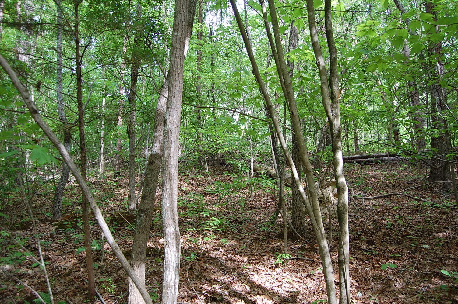 0 Carpenter Road Dunlap TN 37327