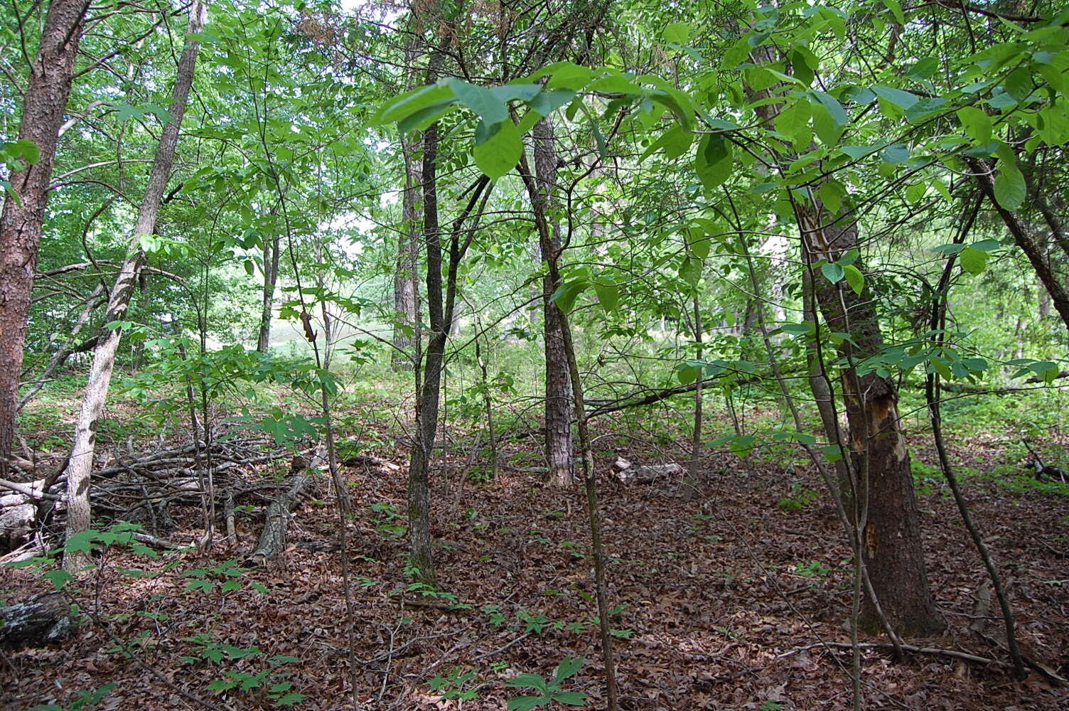 0 Carpenter Road Dunlap TN 37327
