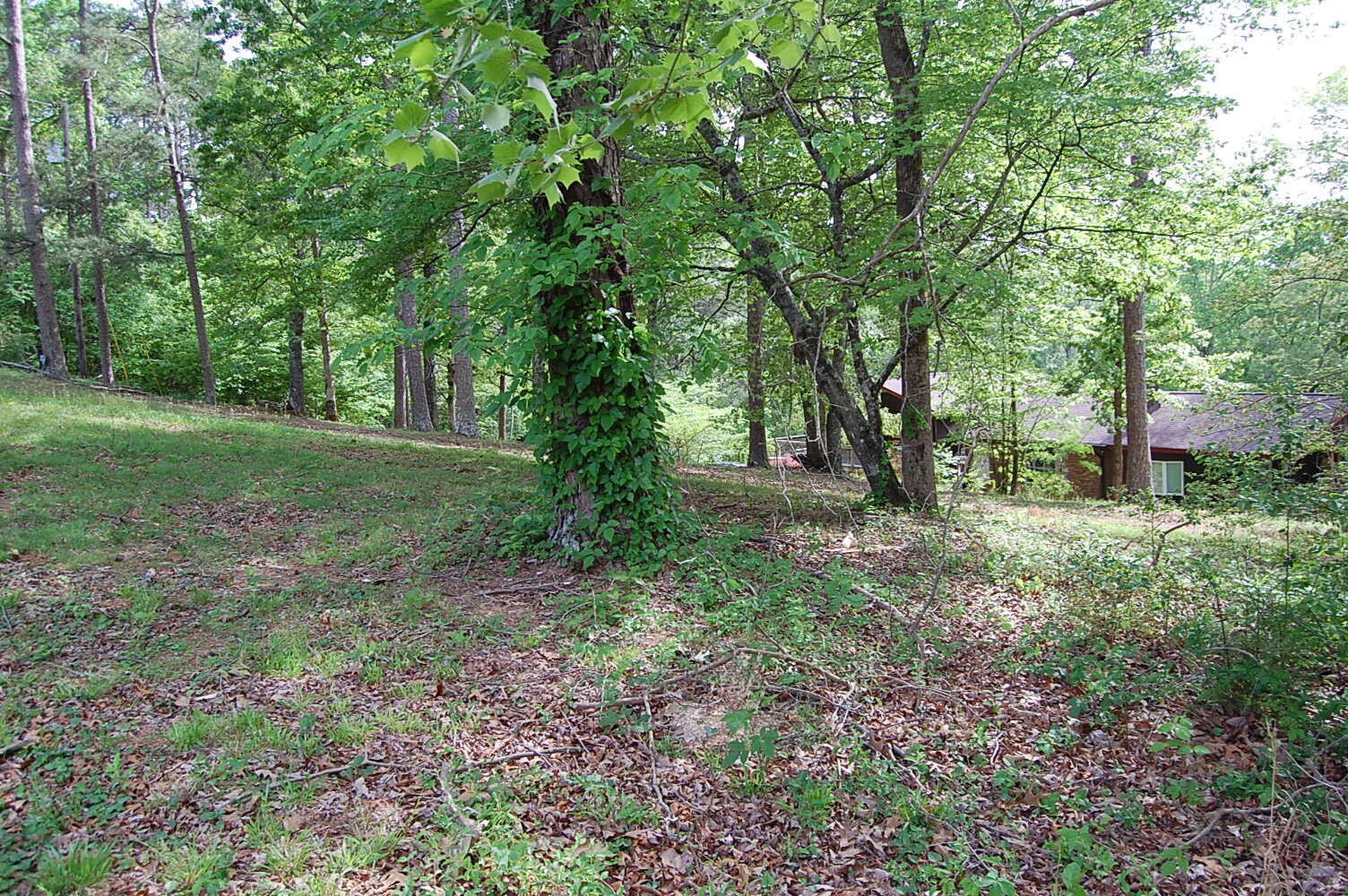 0 Carpenter Road Dunlap TN 37327