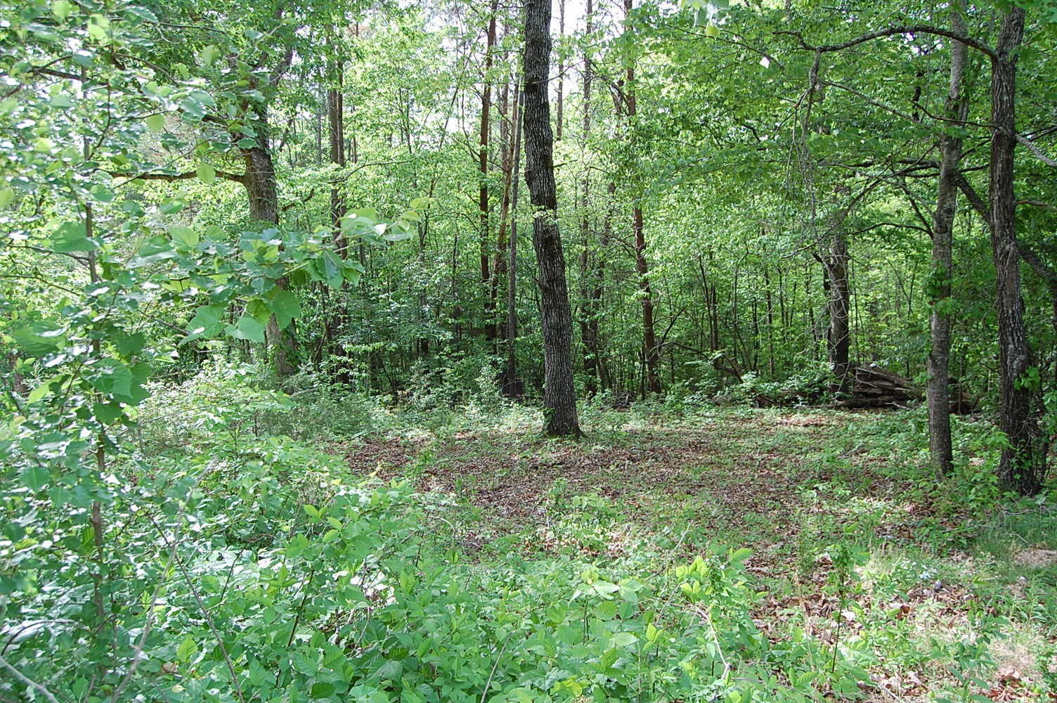 0 Carpenter Road Dunlap TN 37327