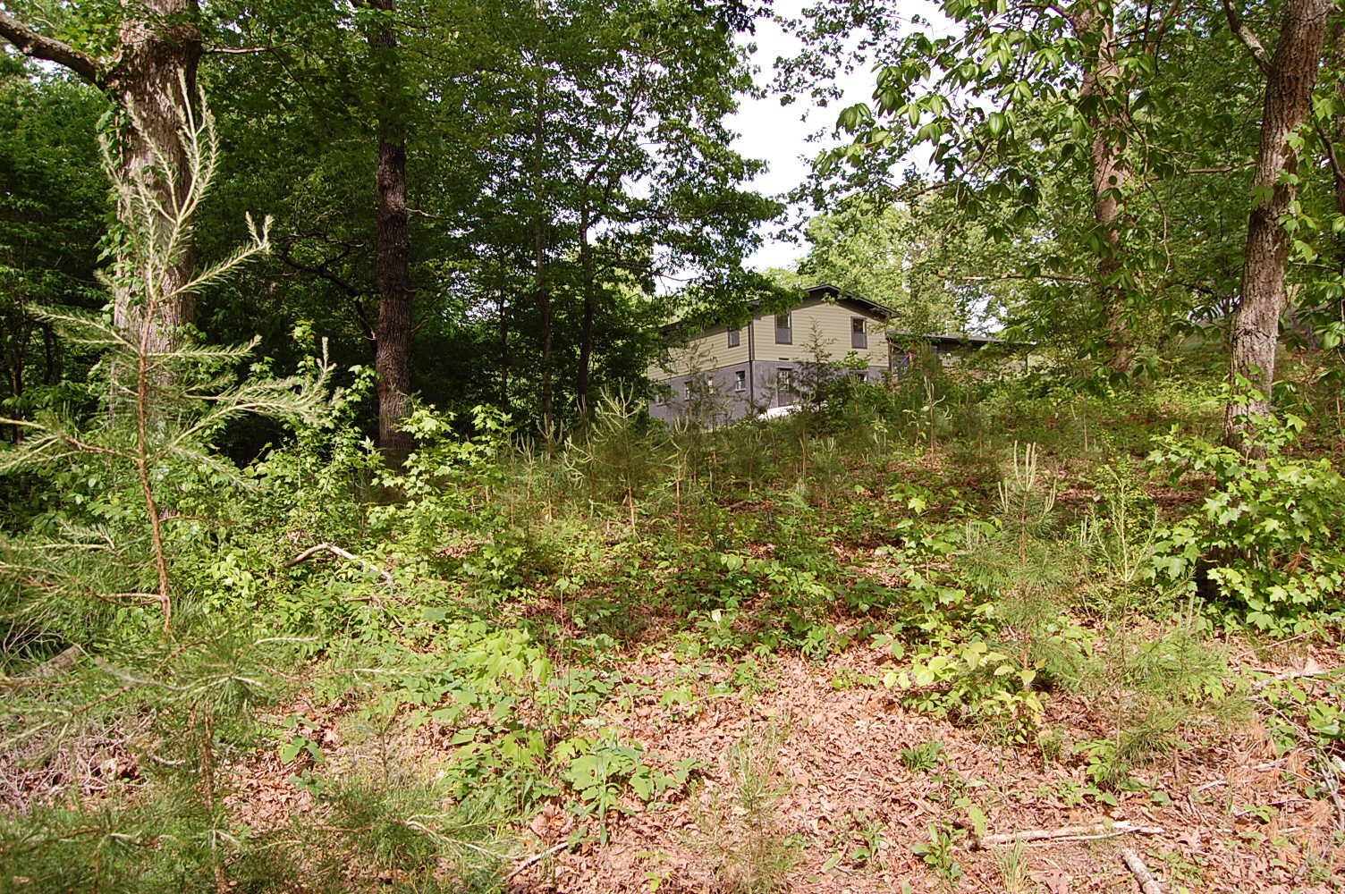 0 Carpenter Road Dunlap TN 37327