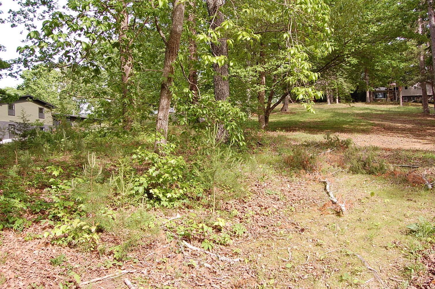 0 Carpenter Road Dunlap TN 37327