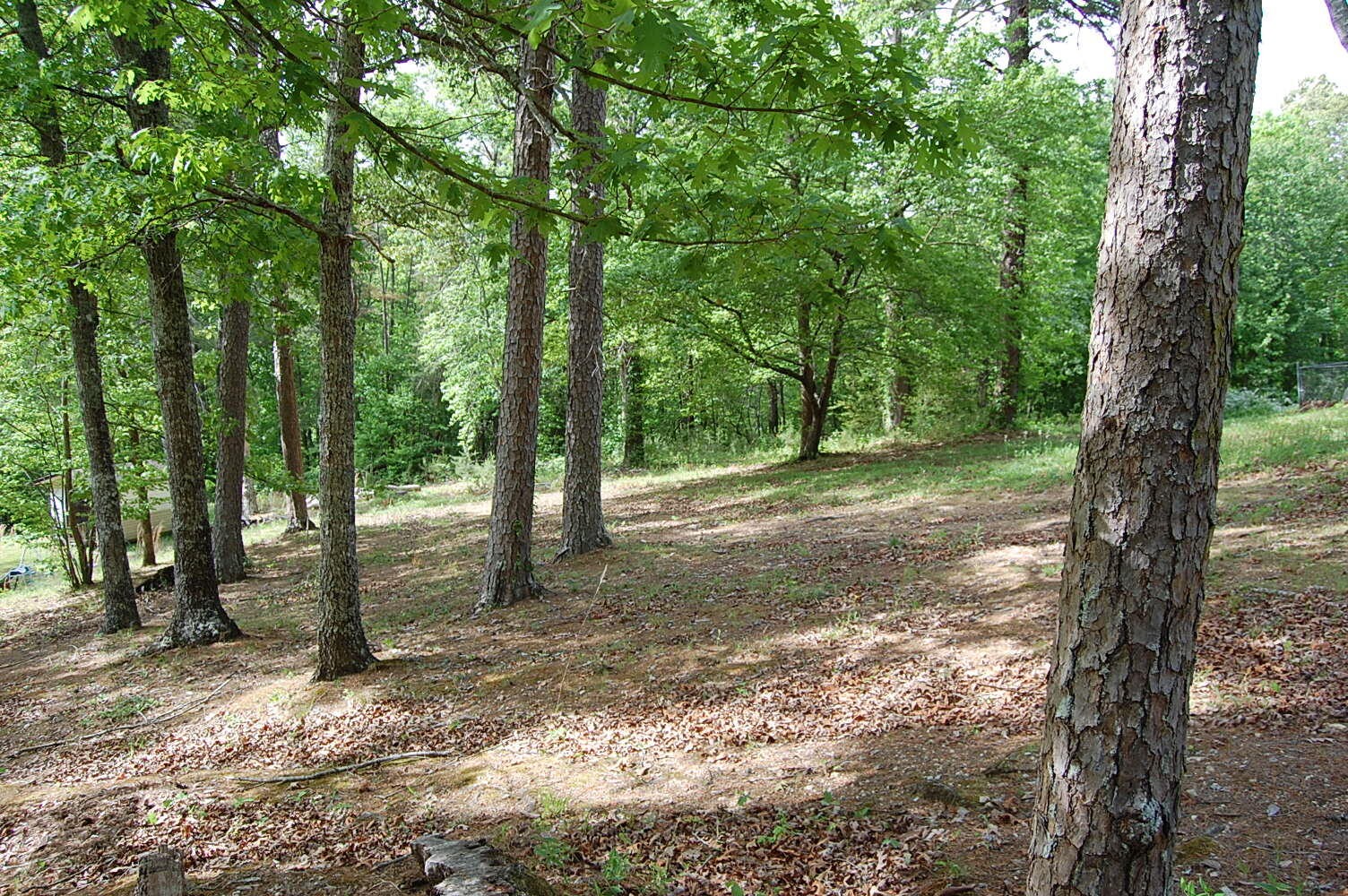 0 Carpenter Road Dunlap TN 37327