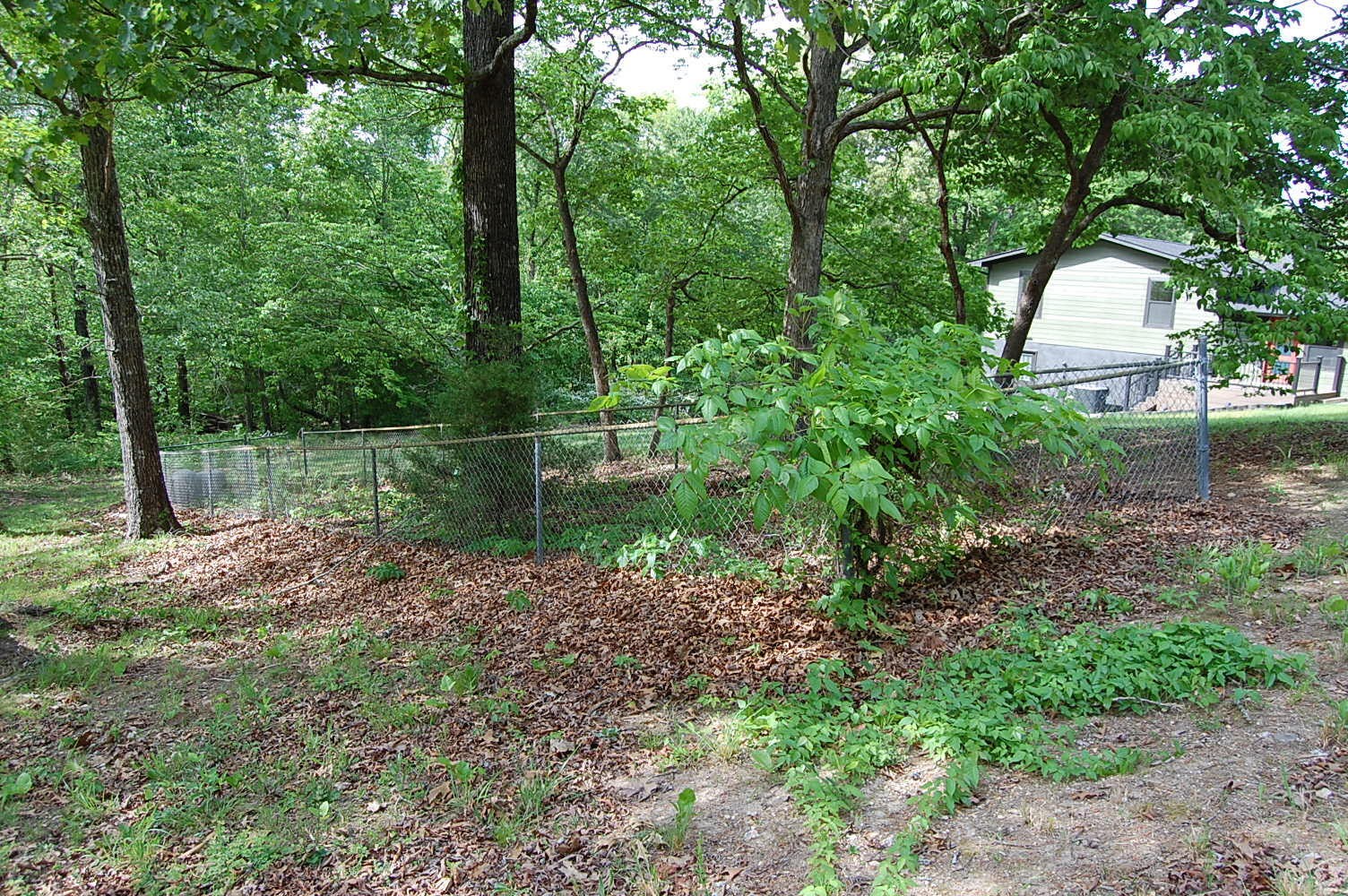0 Carpenter Road Dunlap TN 37327