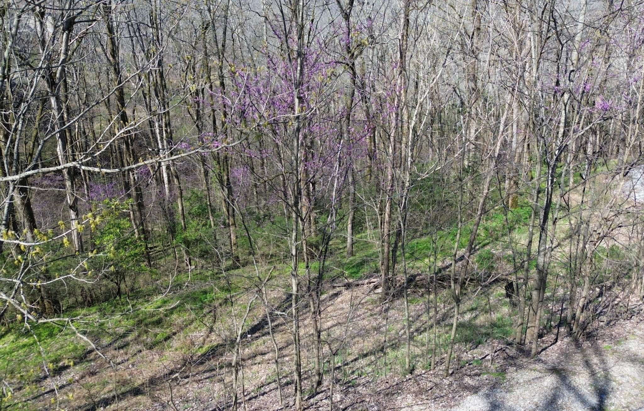 0 Wilson Circle Smithville TN 37166