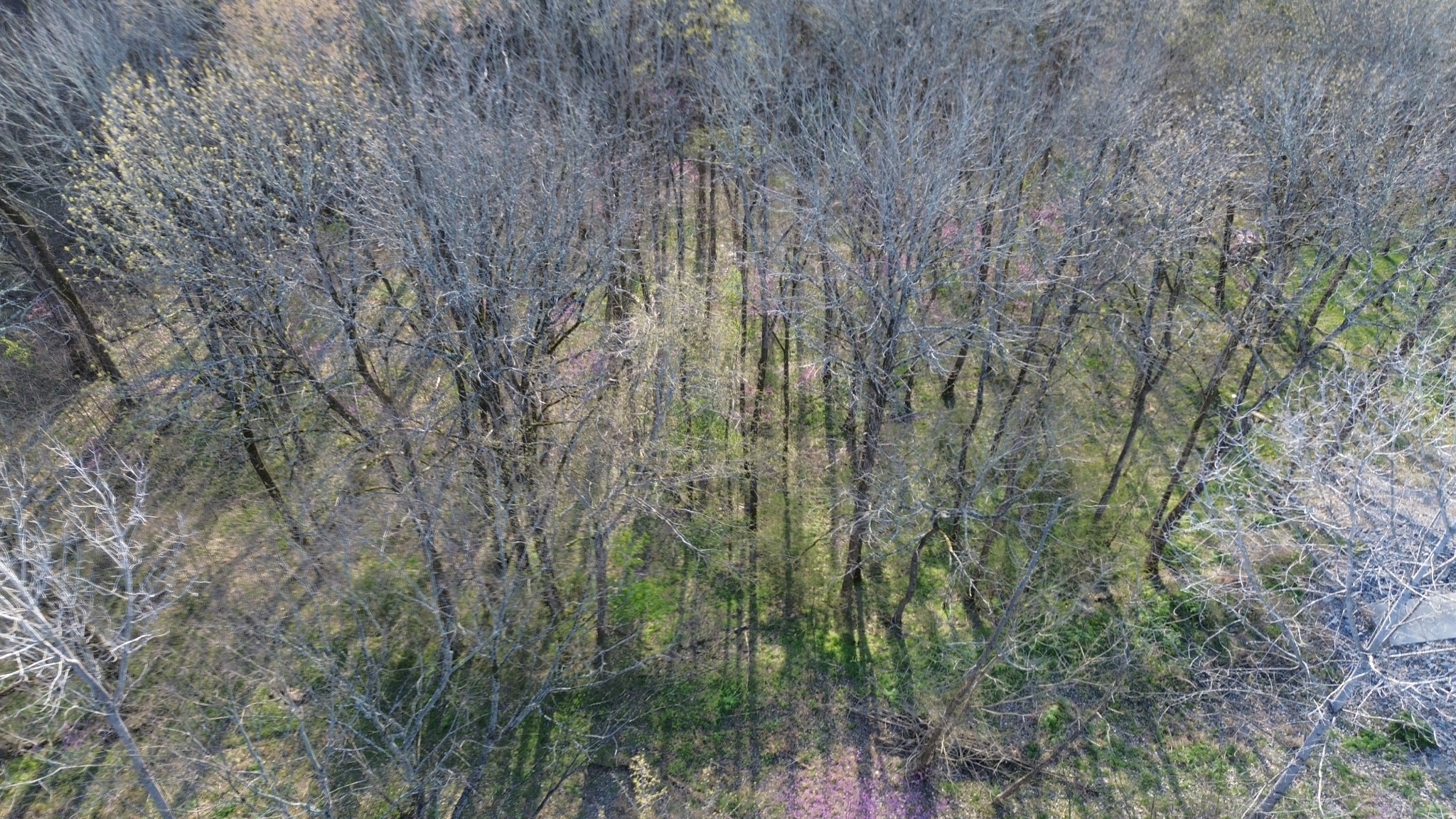 0 Wilson Circle Smithville TN 37166