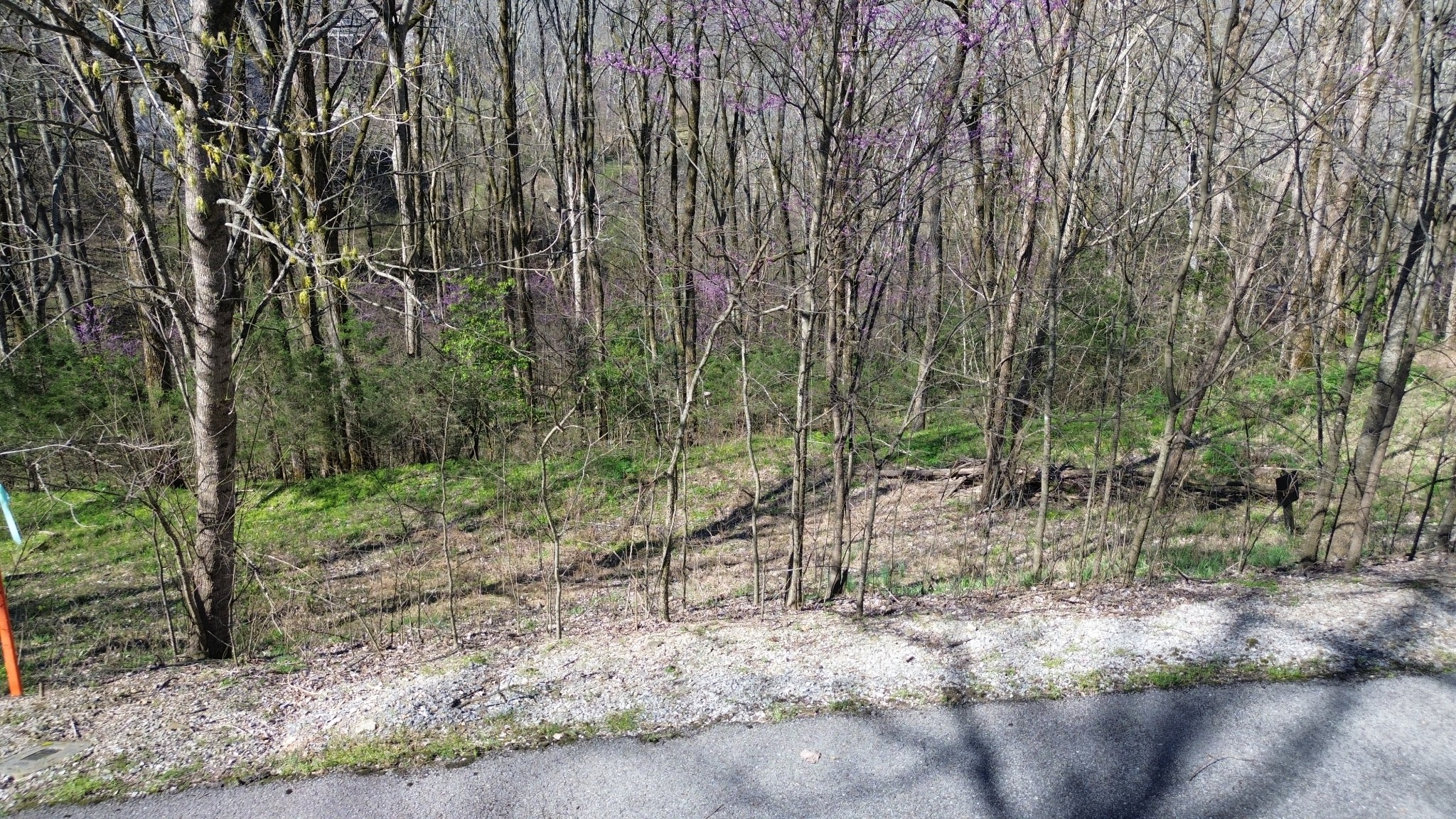 0 Wilson Circle Smithville TN 37166