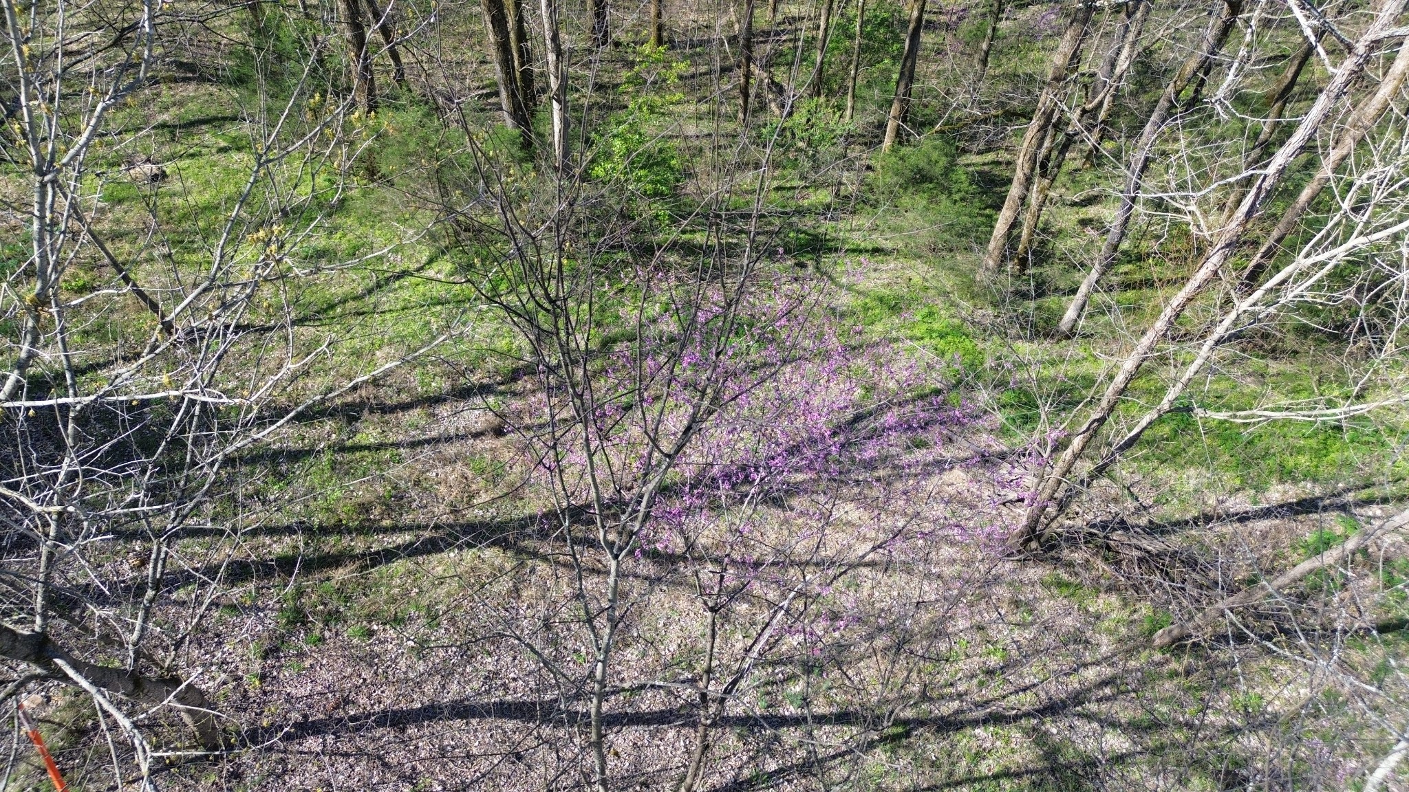 0 Wilson Circle Smithville TN 37166