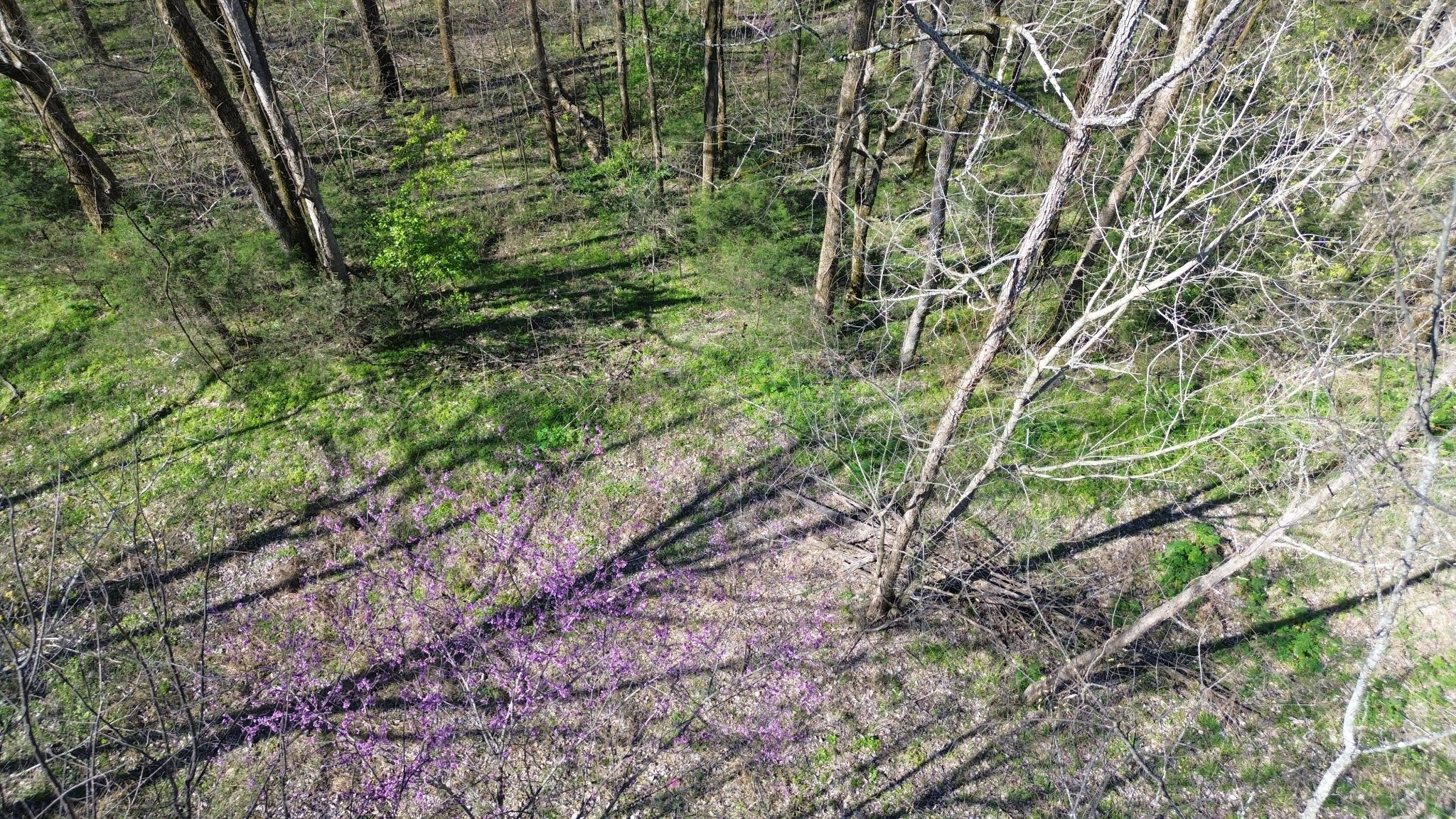0 Wilson Circle Smithville TN 37166