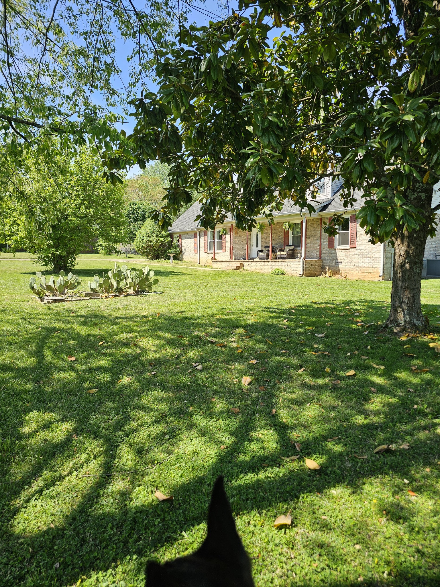 2520 Retreat Court Murfreesboro TN 37129