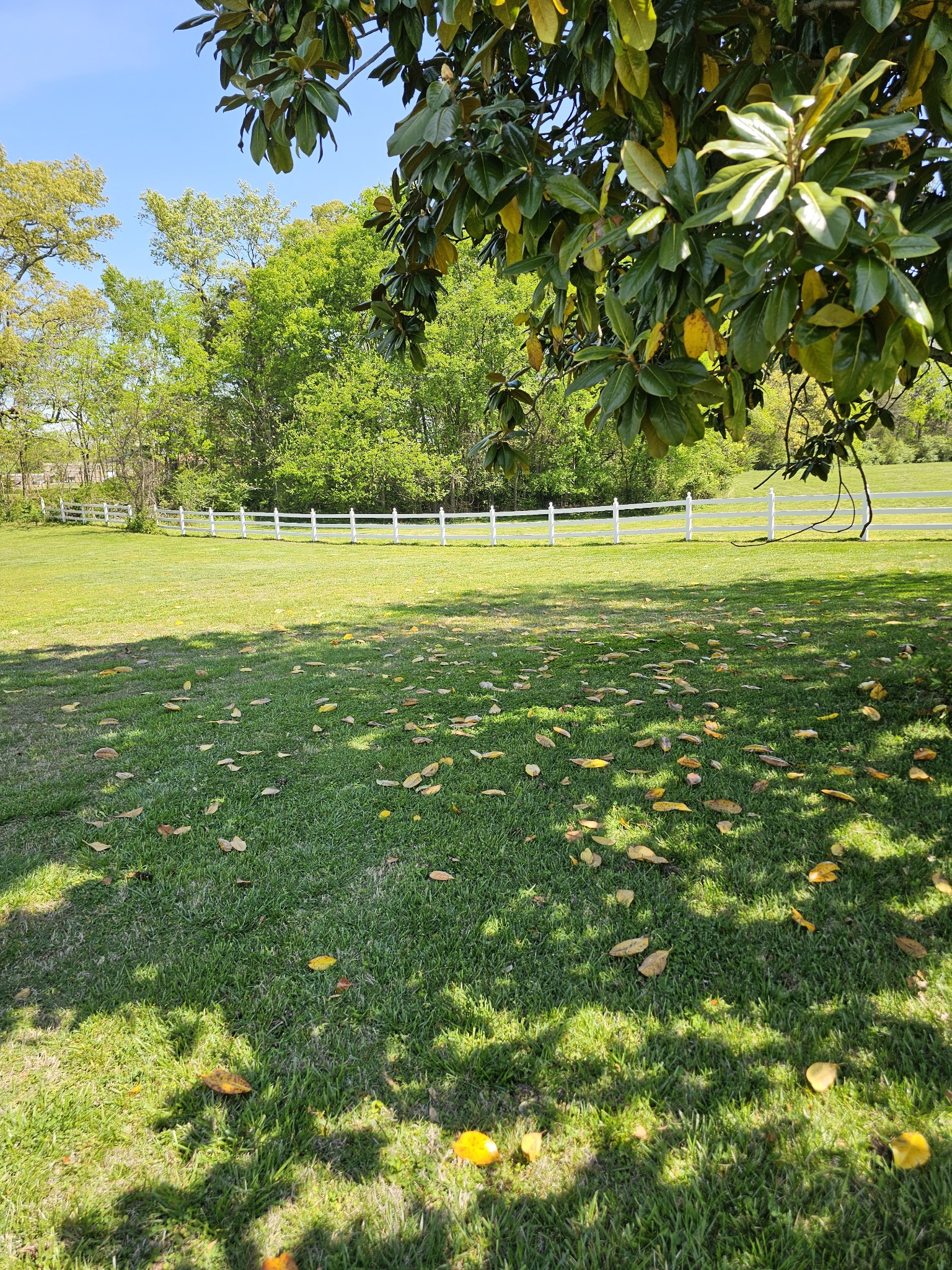 2520 Retreat Court Murfreesboro TN 37129