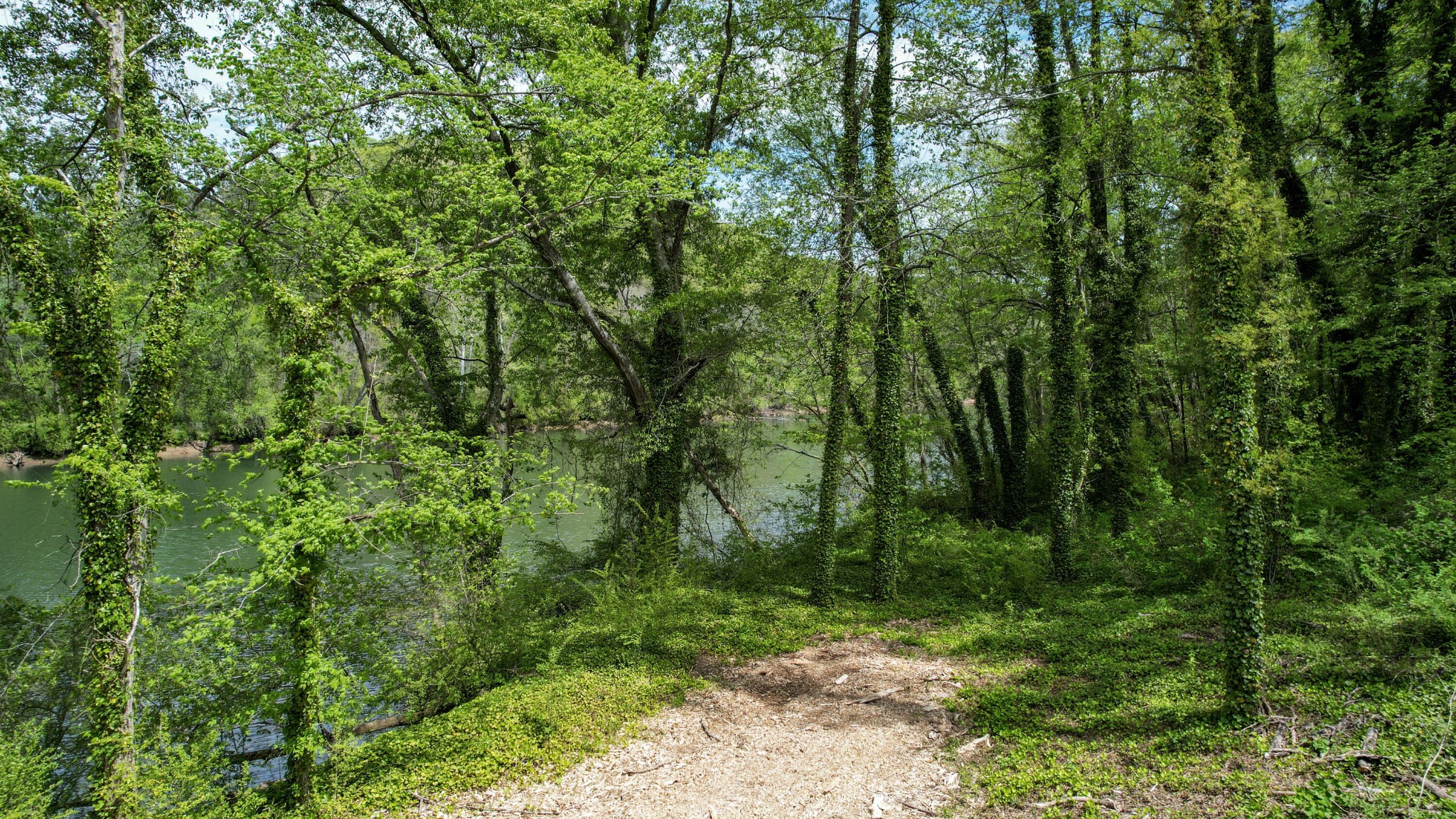 175 Riverbend Trail, NE Charleston TN 37310