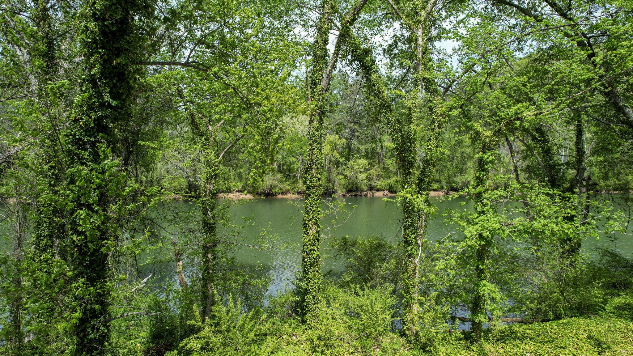 175 Riverbend Trail, NE Charleston TN 37310