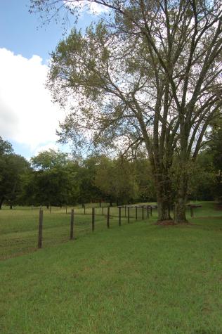 160 Sinking Creek Road Petersburg TN 37144