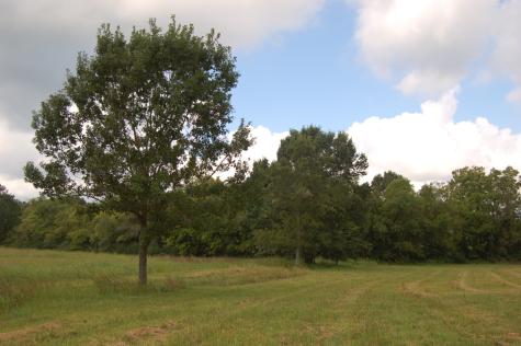 160 Sinking Creek Road Petersburg TN 37144