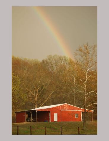160 Sinking Creek Road Petersburg TN 37144