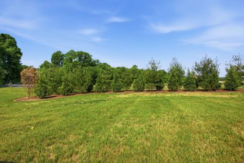 3058 Henley Way Spring Hill TN 37174