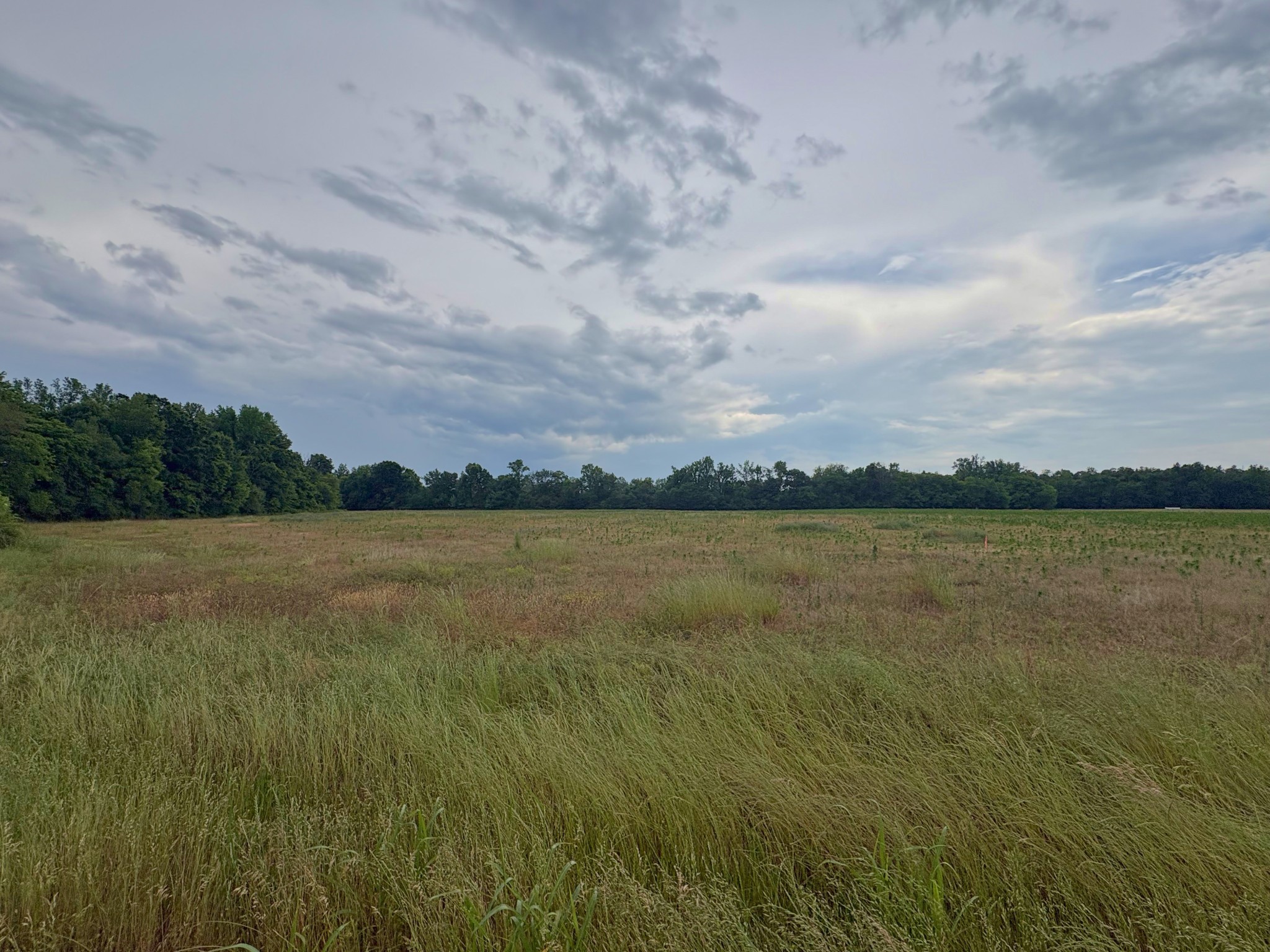 Manchester TN, Duncan Road