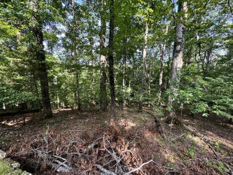 1025 Robin Court Kingston Springs TN 37082