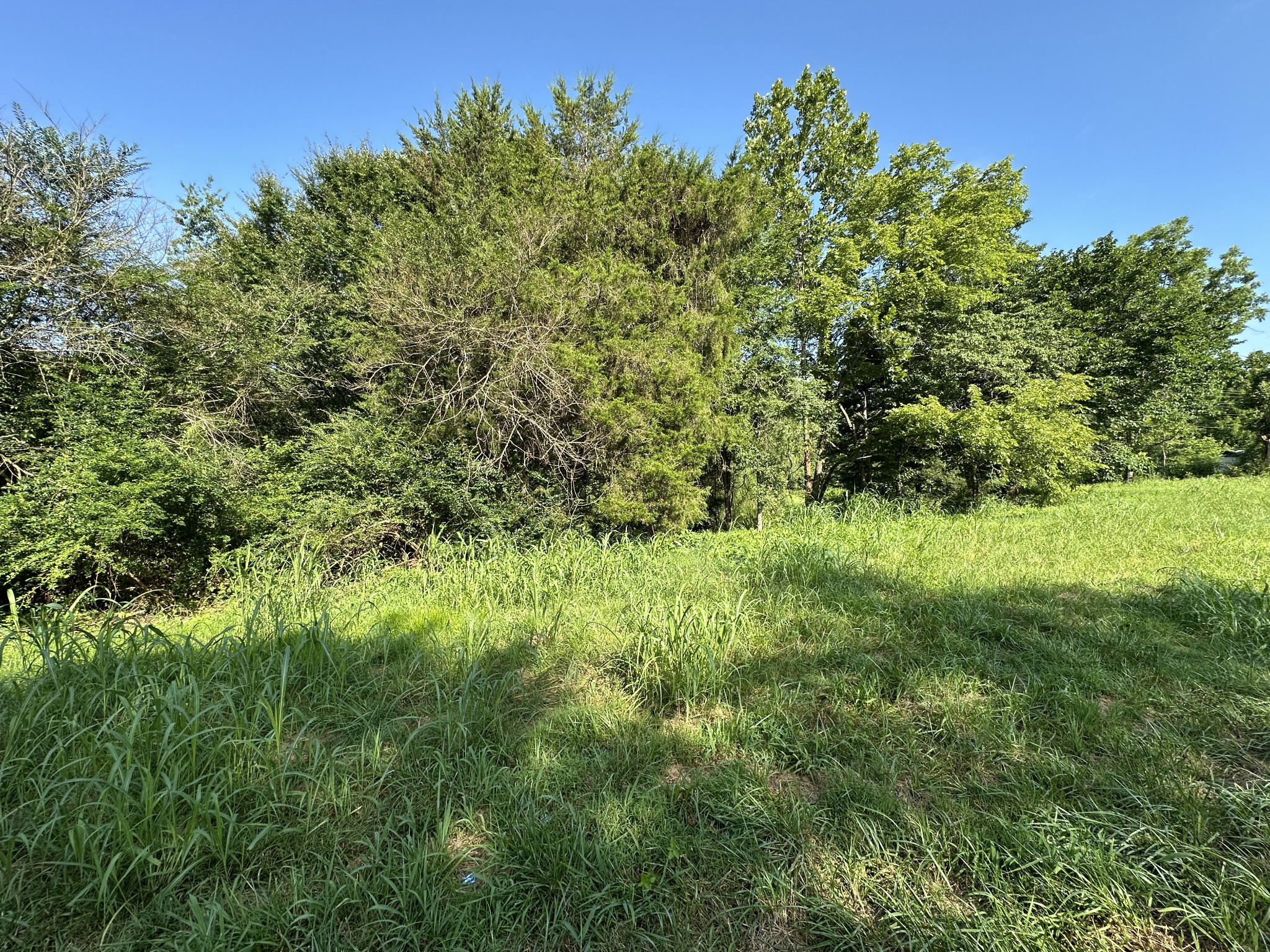 0 Highway 100, W Centerville TN 37033