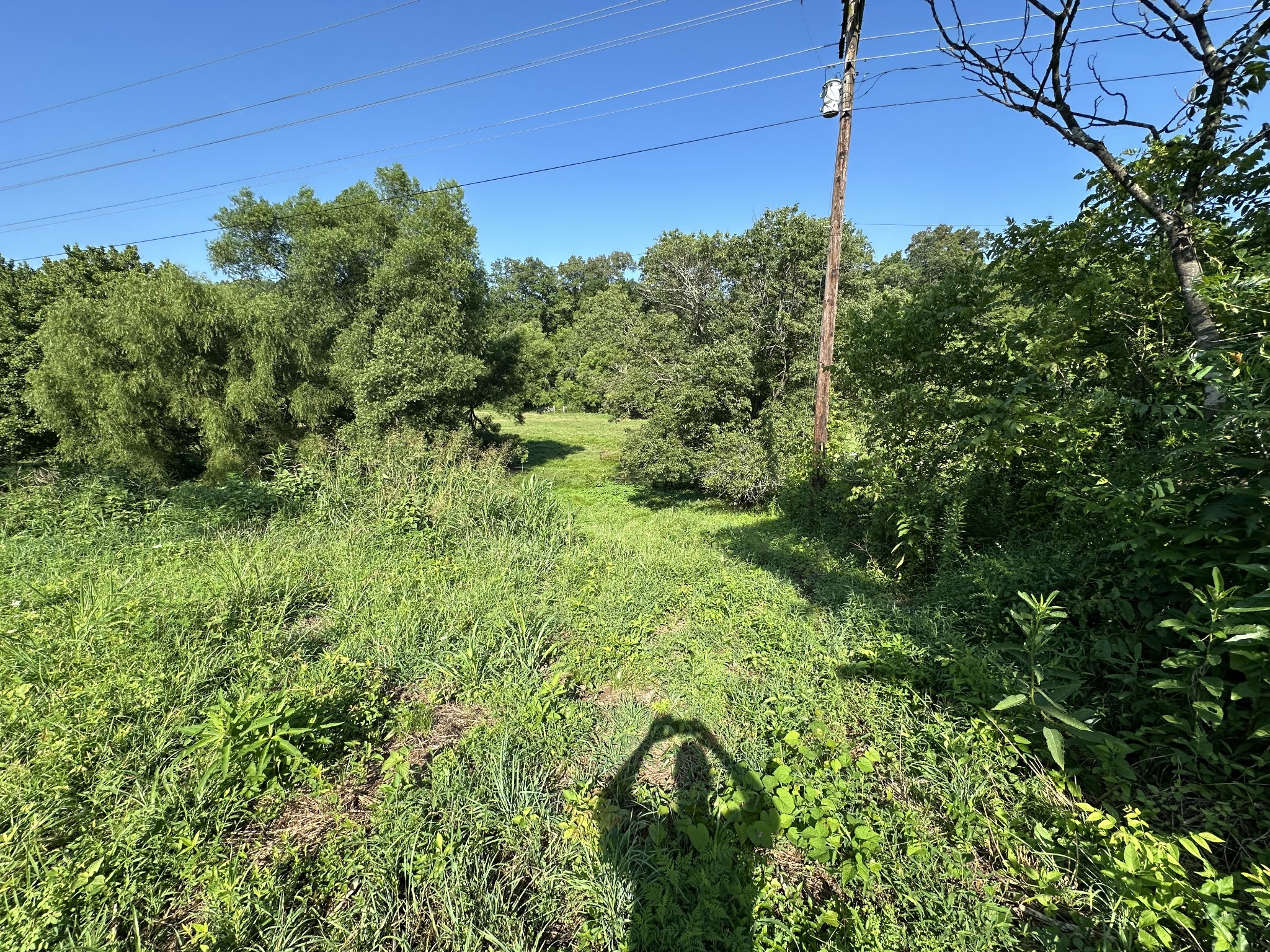 0 Highway 100, W Centerville TN 37033