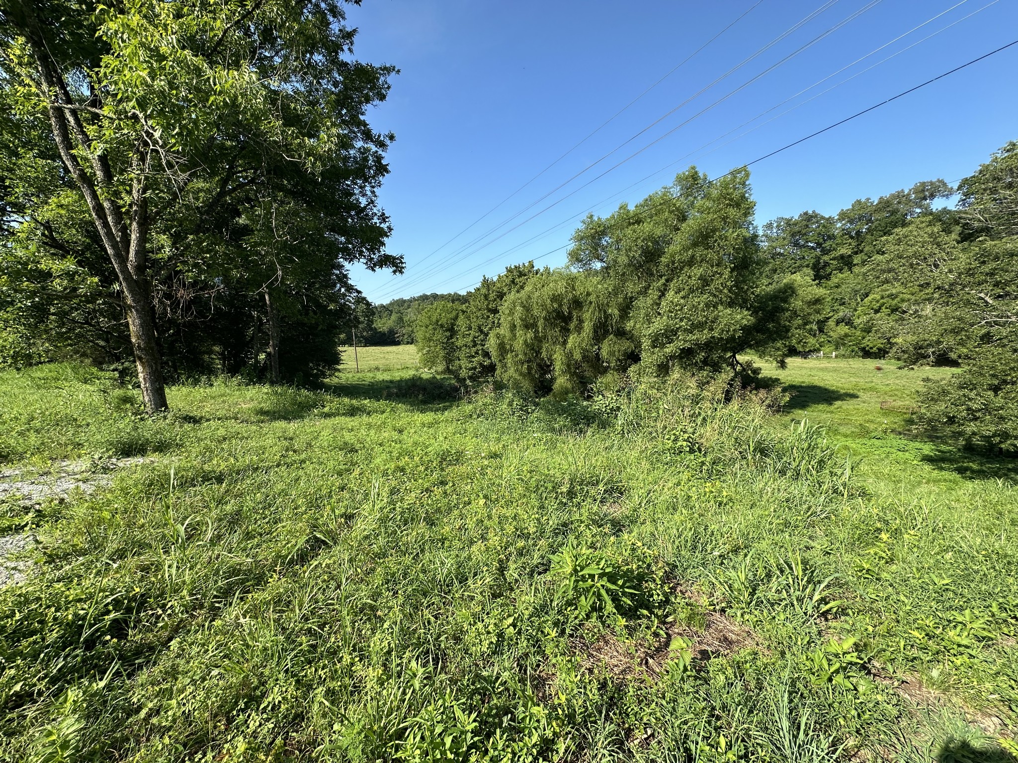 0 Highway 100, W Centerville TN 37033