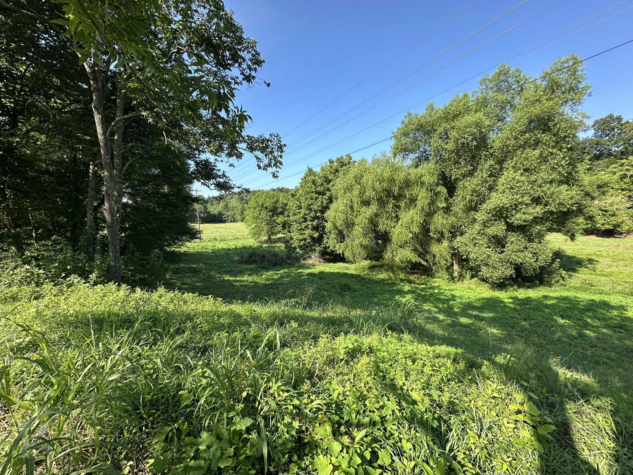 0 Highway 100, W Centerville TN 37033